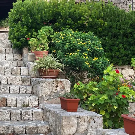 Dagré Fronte Mare Hébergement de vacances Marittima