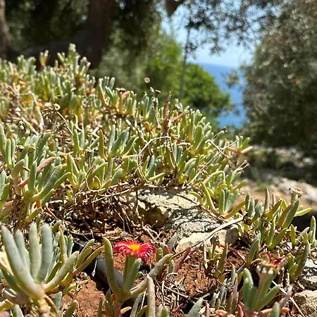 Dagre Fronte Mare * ماريتيما