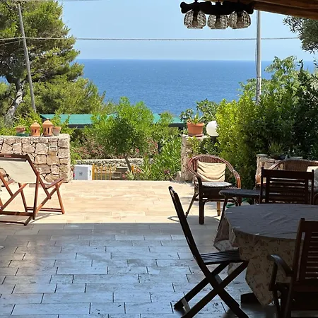 Dagre Fronte Mare Marittima